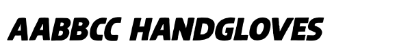 Steinwald Pro Italic image