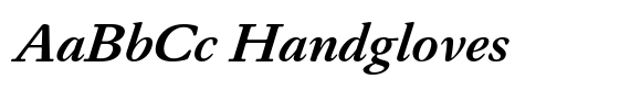 Daisler Bold Italic image