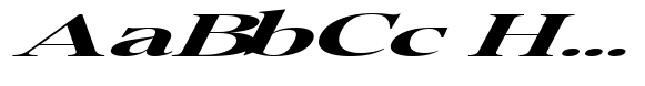 Pichellsio Soft ExtraBold ExtraExpanded Italic image