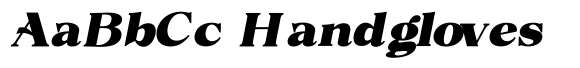 Volkys Serif Volkys Contrast Black Italic image