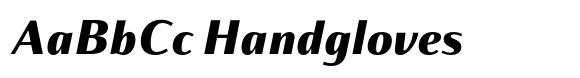 Partner Sans Black Italic image
