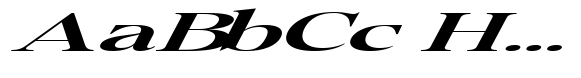 Pichellsio Bold Italic Extra Expanded image