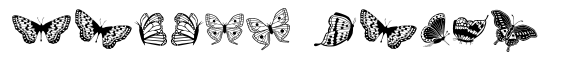 Papillon image
