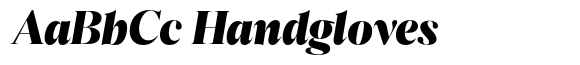 Reicha Extra Bold Expanded Italic image