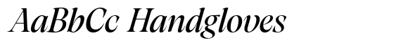 Artusi Grande Italic image