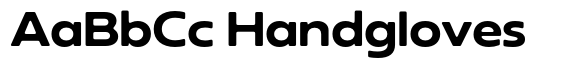 Neue Reman SansSf Bold Expanded image