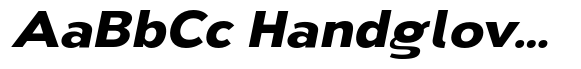 Nsai Pro Wide Bold Italic image