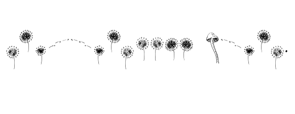 Rare Bird Specimen V D Regular image