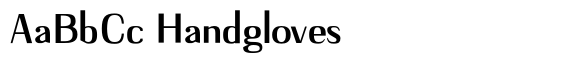 Adaptable Bold Sans image