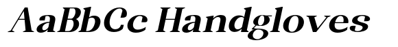 Randion Serif Family Randion Serif Extra Bold Expanded Slanted image
