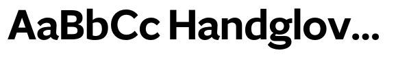 GS Haritsa Bold image