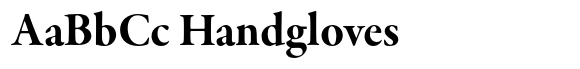 Garamond Premier Pro Bold Subhead image