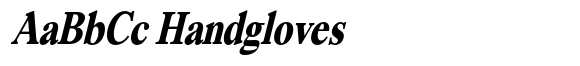 Segikan Extra Bold Condensed Italic image