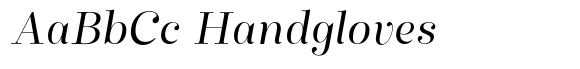 Winslow Title Mod Light Italic image