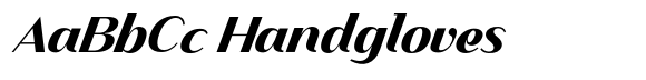 Finico Sans Heavy Italic image