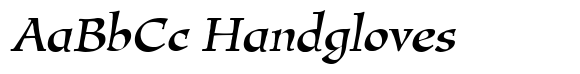 New Amigo RXSN Italic image