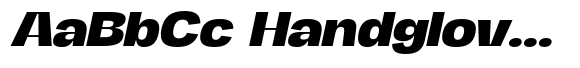 FX Regant Bold Expanded Italic image