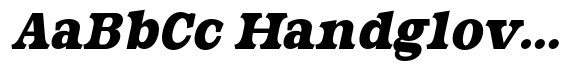 Vellmique Black Italic image