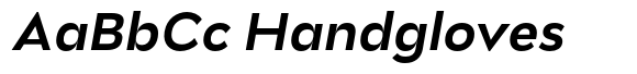 Stray Bold Italic image