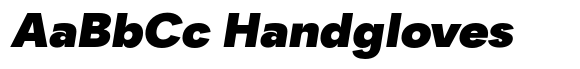 Santhor Black Expanded Slant image