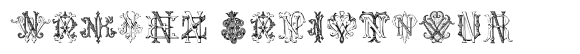 Monocracy Vintage Monograms N