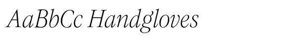 Evoque Narrow Thin Italic image