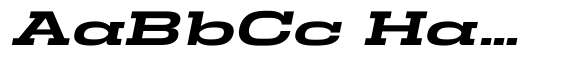 Arkari Med UltExp Italic image