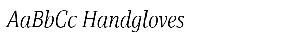 Singel Book Italic image