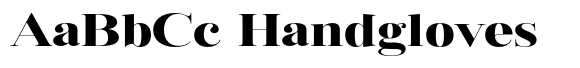 Vintora Serif Vintora Black Expanded image