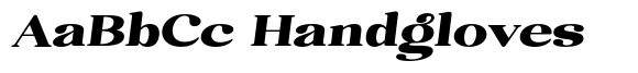 Safieka Grillex Black Extra Expanded Italic image