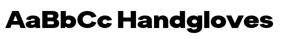 Sinar Grotesk Expanded Black image
