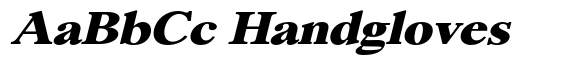 Segikan Black Expanded Italic image