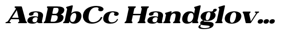 Refagio Black Semi Expanded Italic image