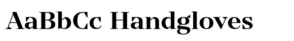 TT Nooks Serif Bold image