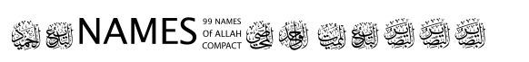 99 Names of ALLAH Compact image