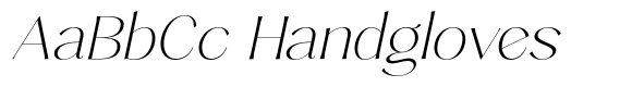 Sarghet Thin Expanded Slant image