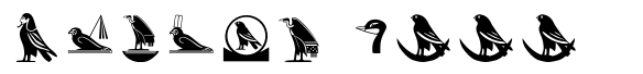Hieroglyph D Regular image