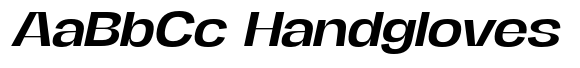 FX Regant Medium Expanded Italic image