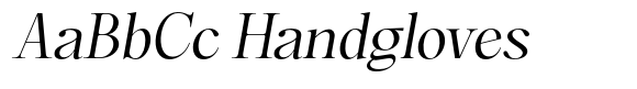 Magerist Expanded Slant image