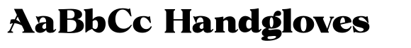 Volkys Serif Volkys Contrast Black image