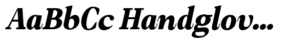 Amnesist Black Italic image