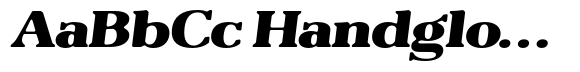 Reigans Soft Black Expanded Italic image
