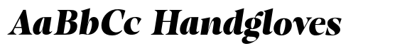 Gustian Black Italic image