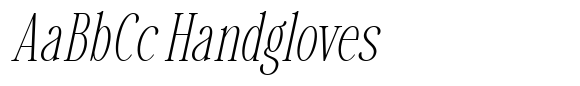 Savera Editorial Thin Italic image