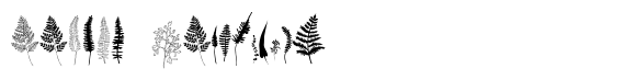 Ferns image
