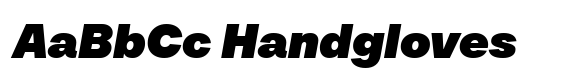TT Neoris Pro Black Italic image