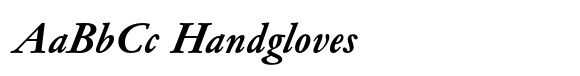 Garamond Now Text Bold Italic image