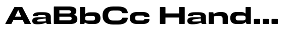 De Box Expanded Black Short image
