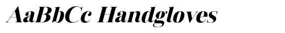 Vintora Serif Black Italic image