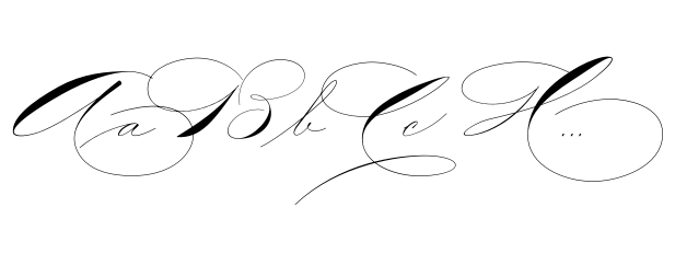 The Wedding Script Regular image